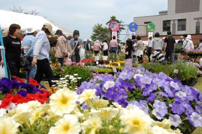 黄色や紫色した花々を見ている多くの人たちの写真