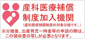 補償 と 医療 産科 は 制度