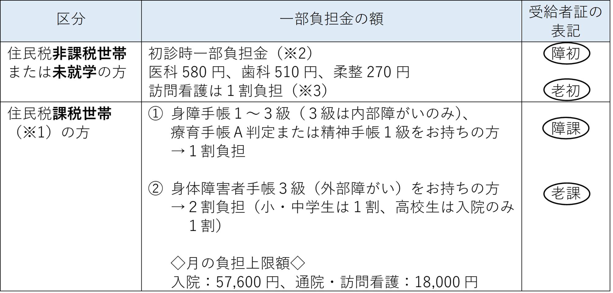恵庭市重度医療助成