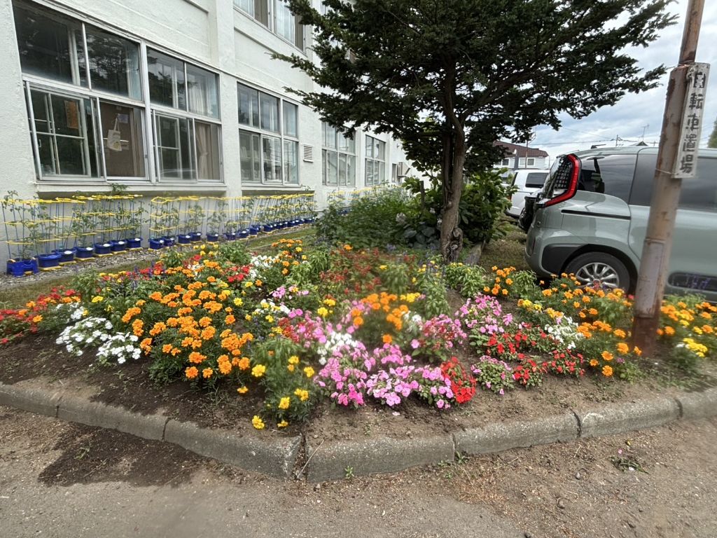 柏小学校