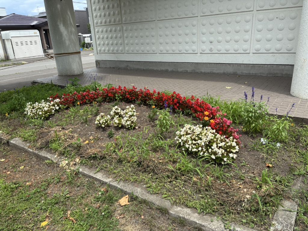 和光小学校