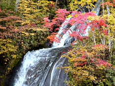 紅葉した木々の間に流れる三段の滝の写真