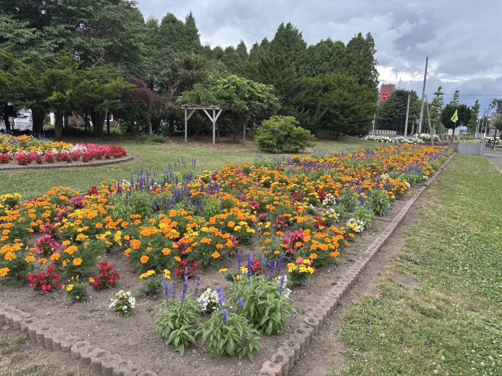 恵み野中学校花壇2