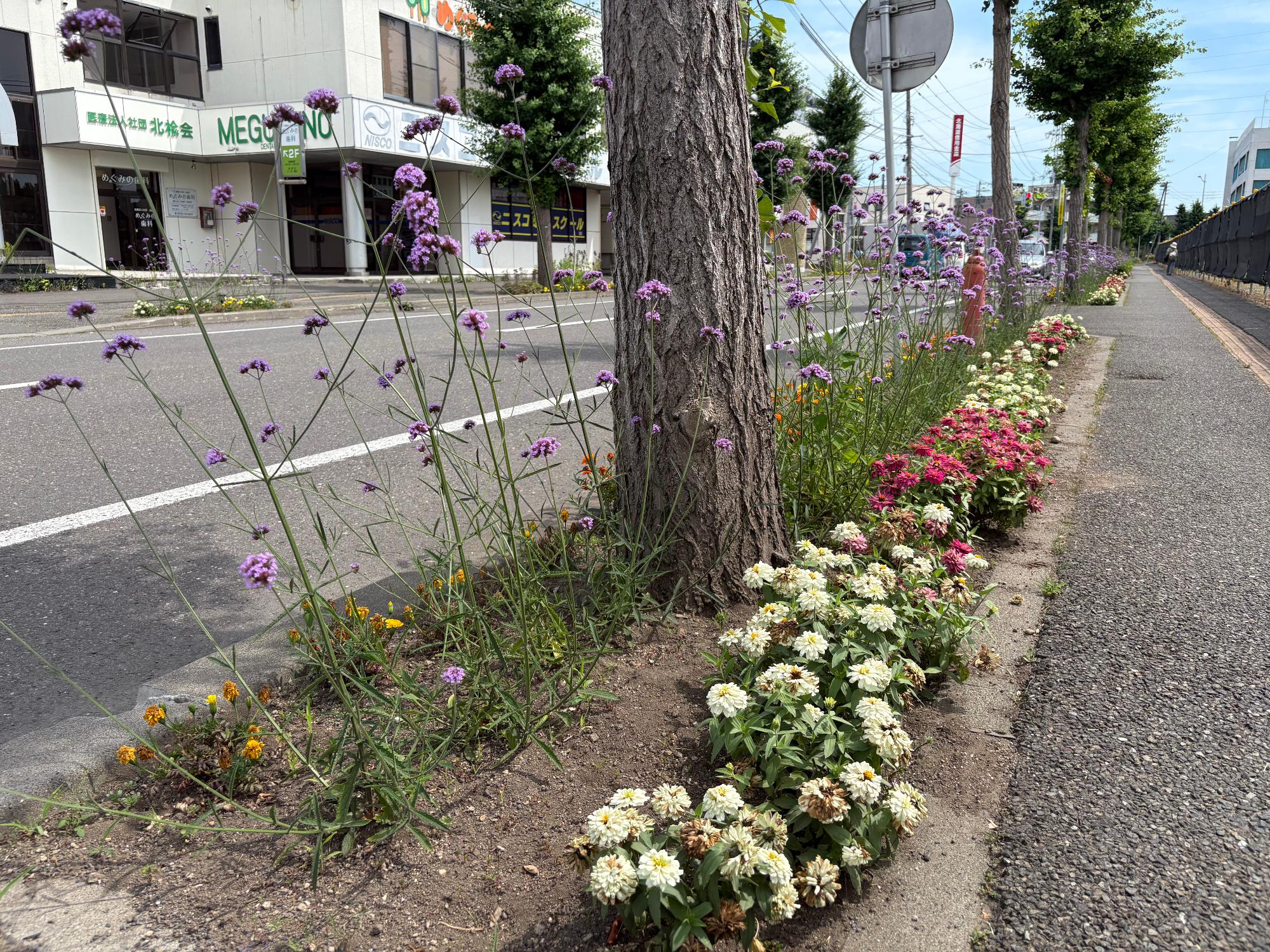 黄金中島通花部会