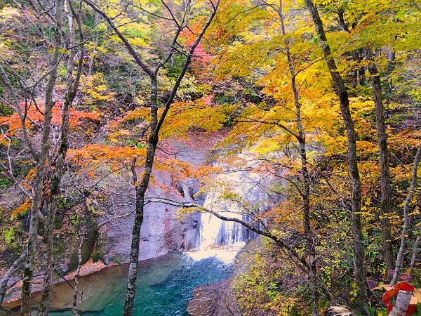 白扇の滝10月16日