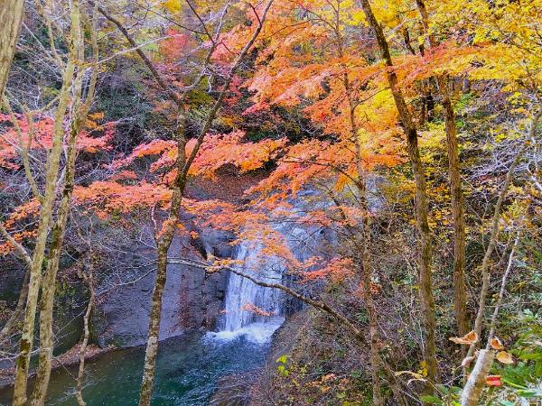 白扇の滝10月20日写真