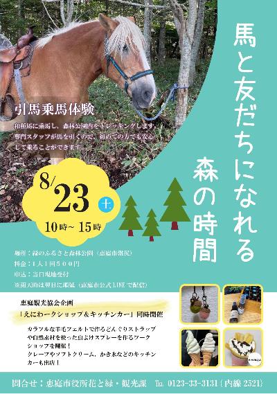 引馬乗馬体験チラシ