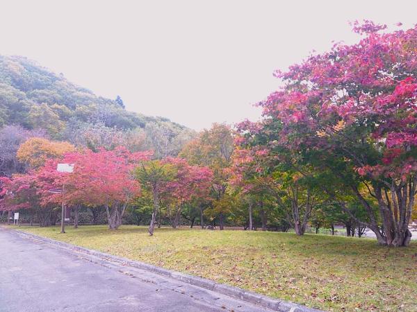 自由広場10月16日