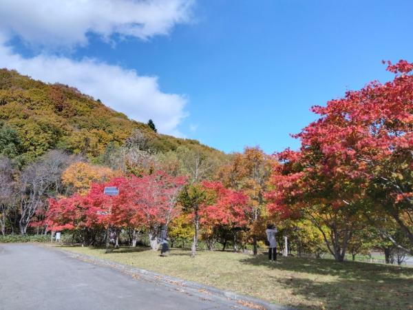 自由広場10月20日写真