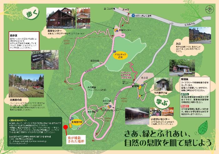 熊撮影場所の地図