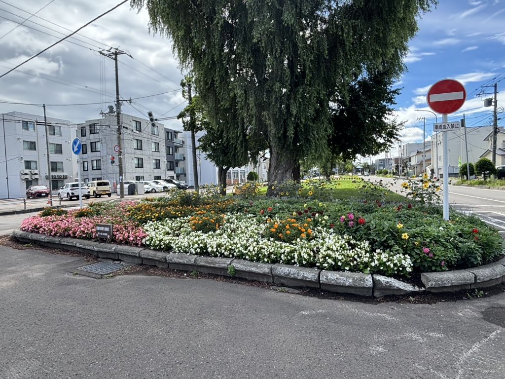 恵庭市花苗生産組合A