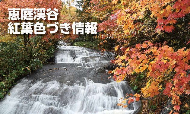紅葉色づき情報