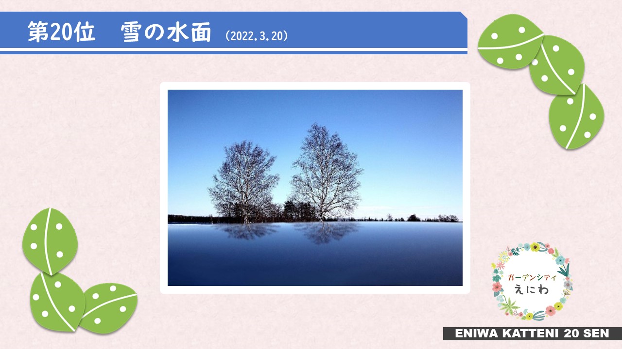 20位「雪の水面」