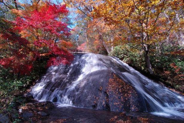 紅葉の中を流れる滝の写真