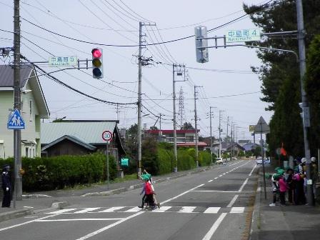 交通安全指導で横断歩道を小学生が歩行している写真