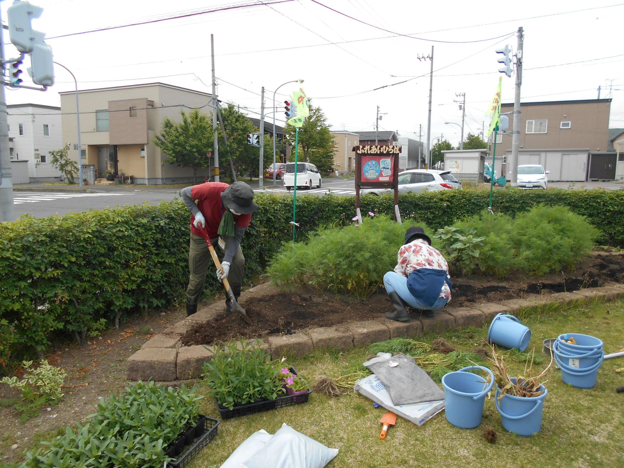 花壇の植え替え