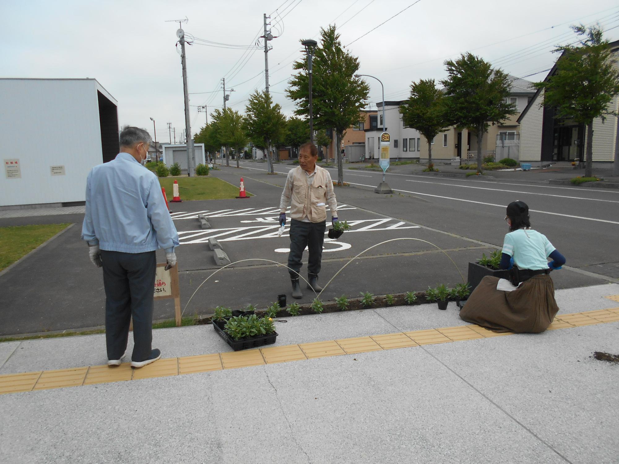 夏の花植え