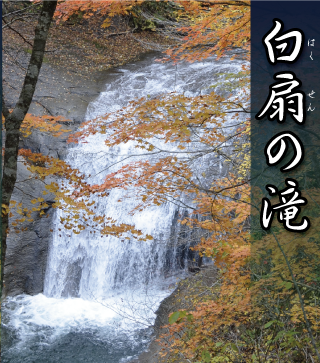 紅葉した木々の後ろに見える白扇の滝の写真