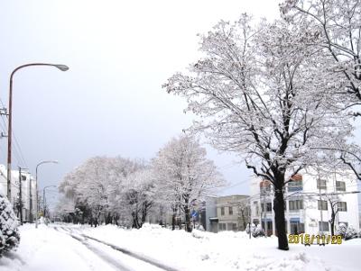 雪に覆われた道路と道路わきに立つ樹氷の冬景色写真