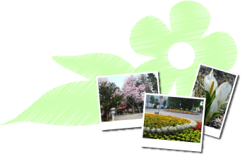 緑色の草花のイラストの上に恵庭市の花のスポットで撮影した写真が3枚飾られている画像