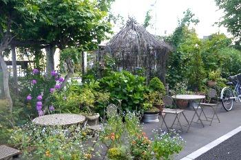 ガーデンテーブルとチェアがあり、沢山の植木と鉢植えで飾られています。奥には細枝を組み合わせたような小さな休み処がある花カフェきゃろっと前の写真