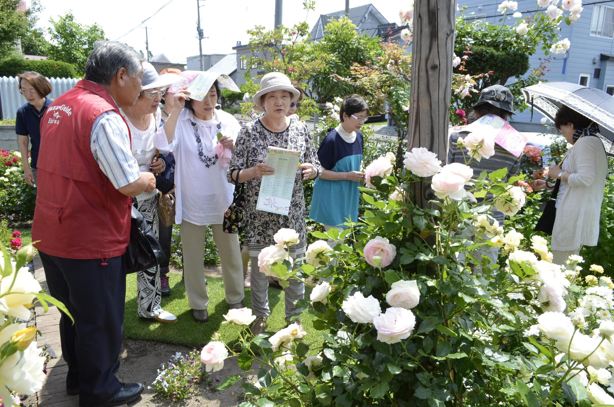 （写真）沢山の綺麗な花が咲いているお庭を花ガイドと一緒に視察している人々。天気が良く日傘をさしたり帽子などで頭を覆っています。