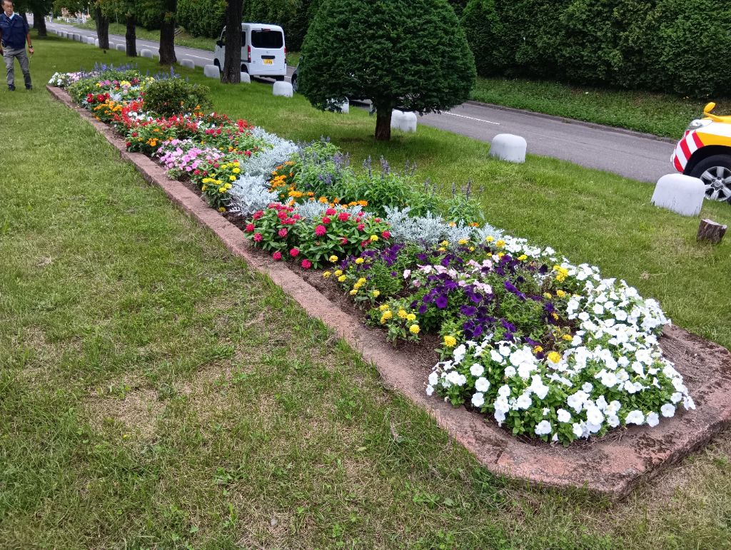 黄金北第8区いくみ会（いくみ公園）
