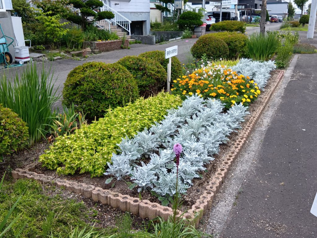 駒場中央町内会（植樹枡）