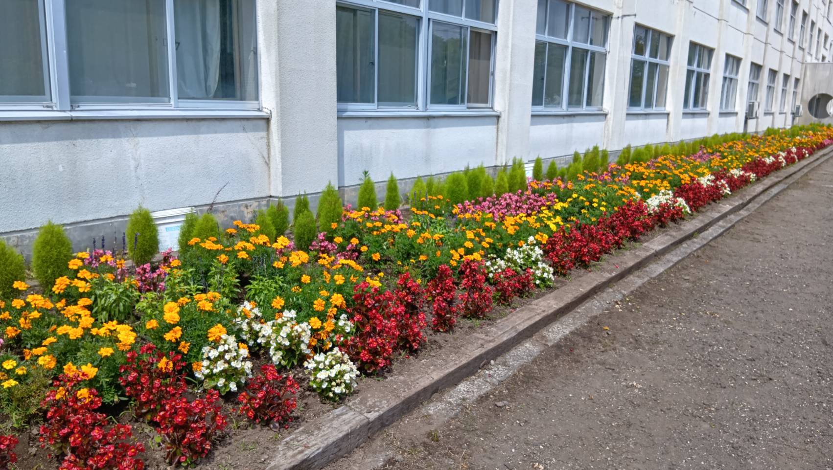 柏陽中学校