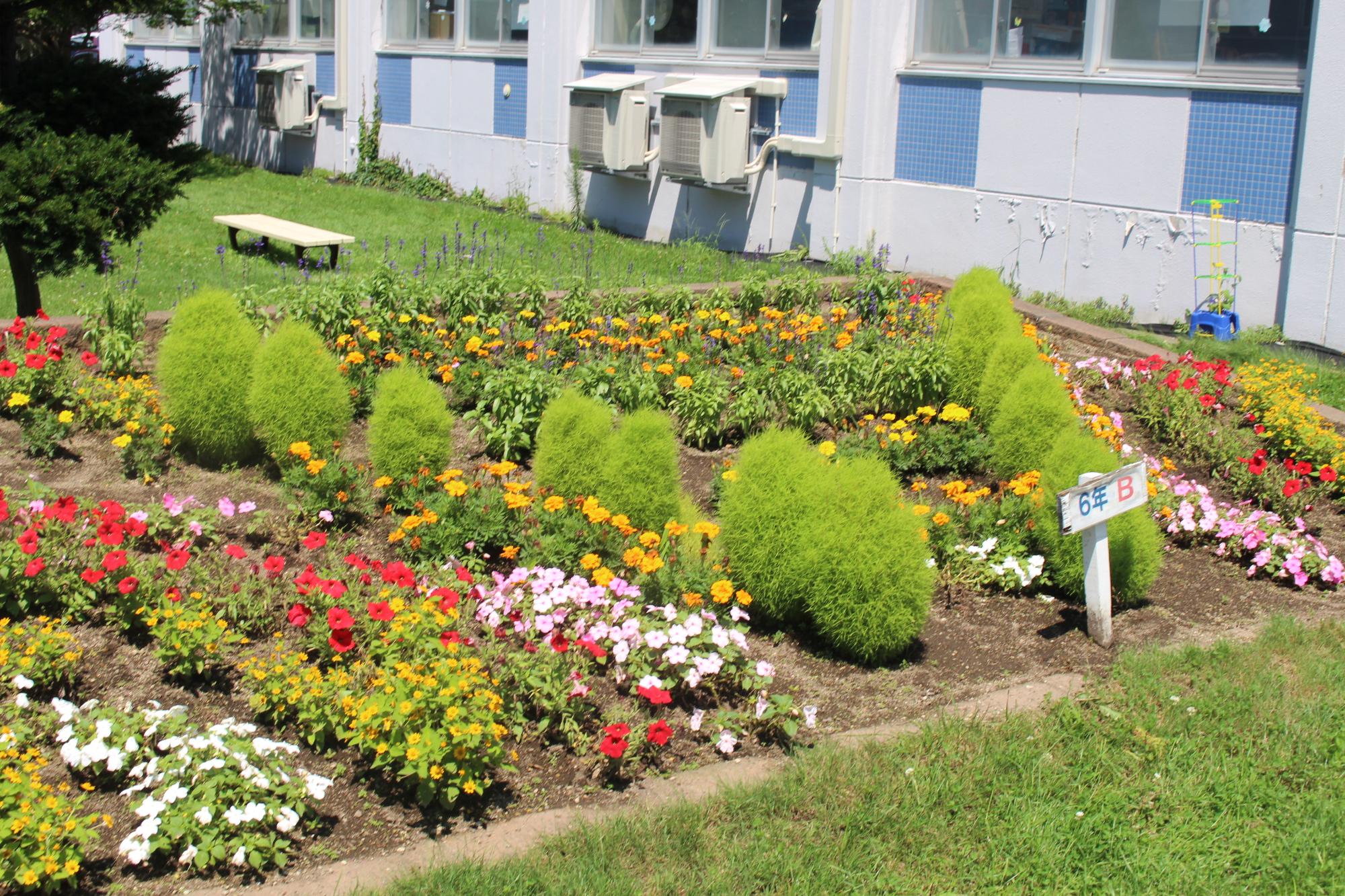 恵み野旭小学校