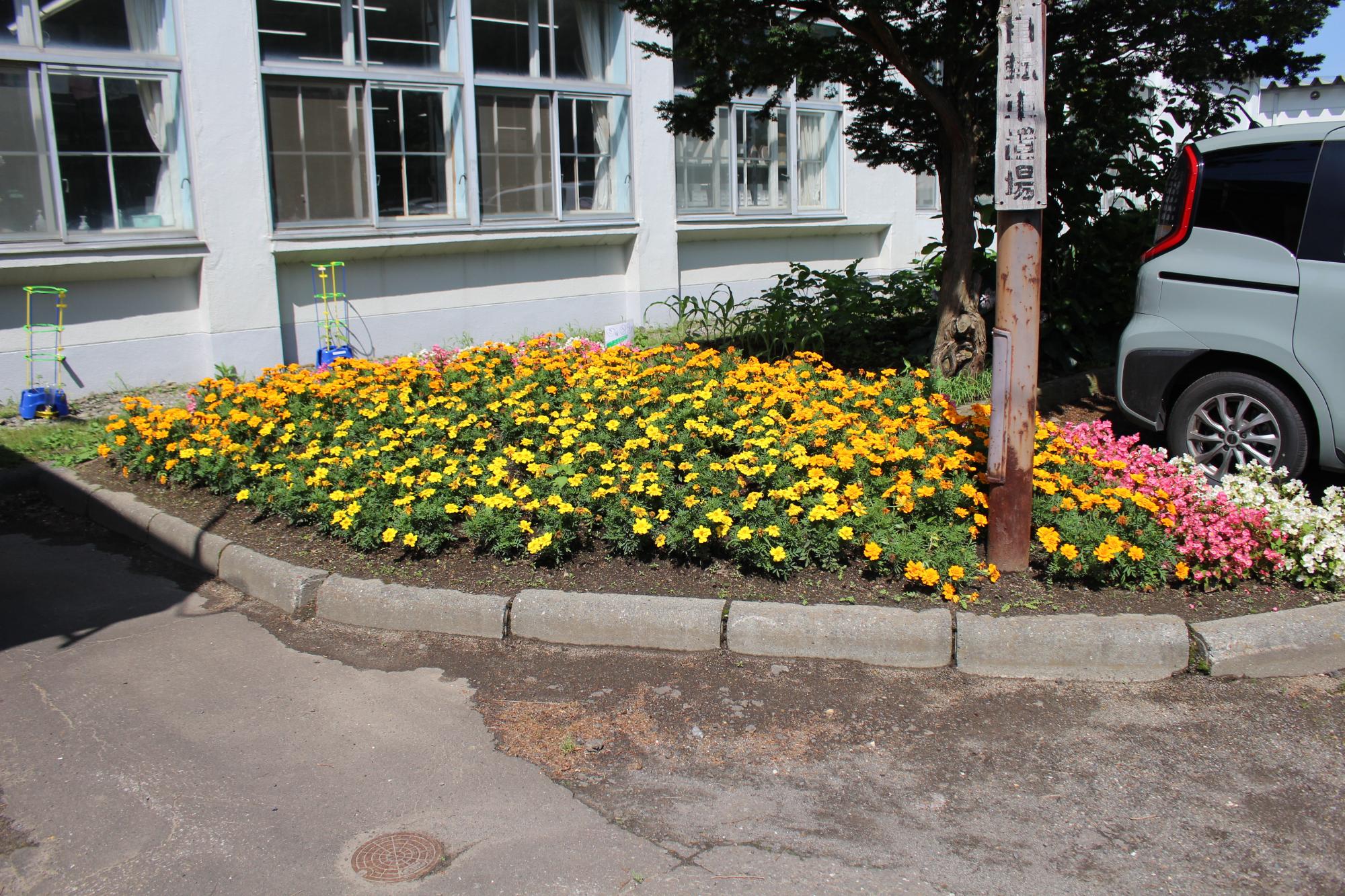 柏小学校