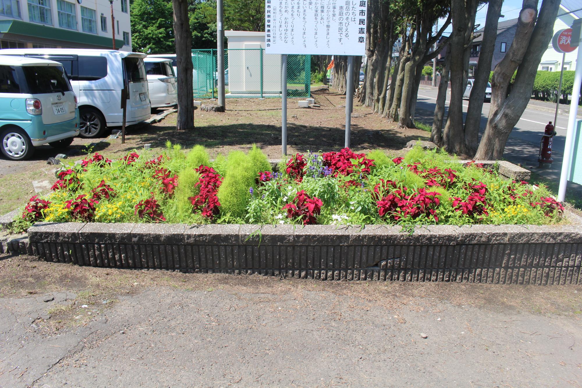 若草小学校