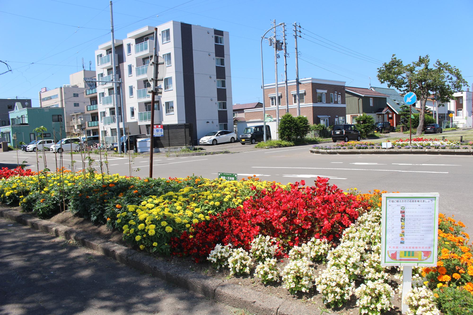 恵庭一万本桜植樹市民の会