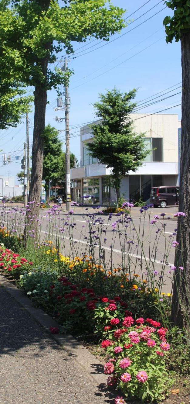 黄金中島通り花部会
