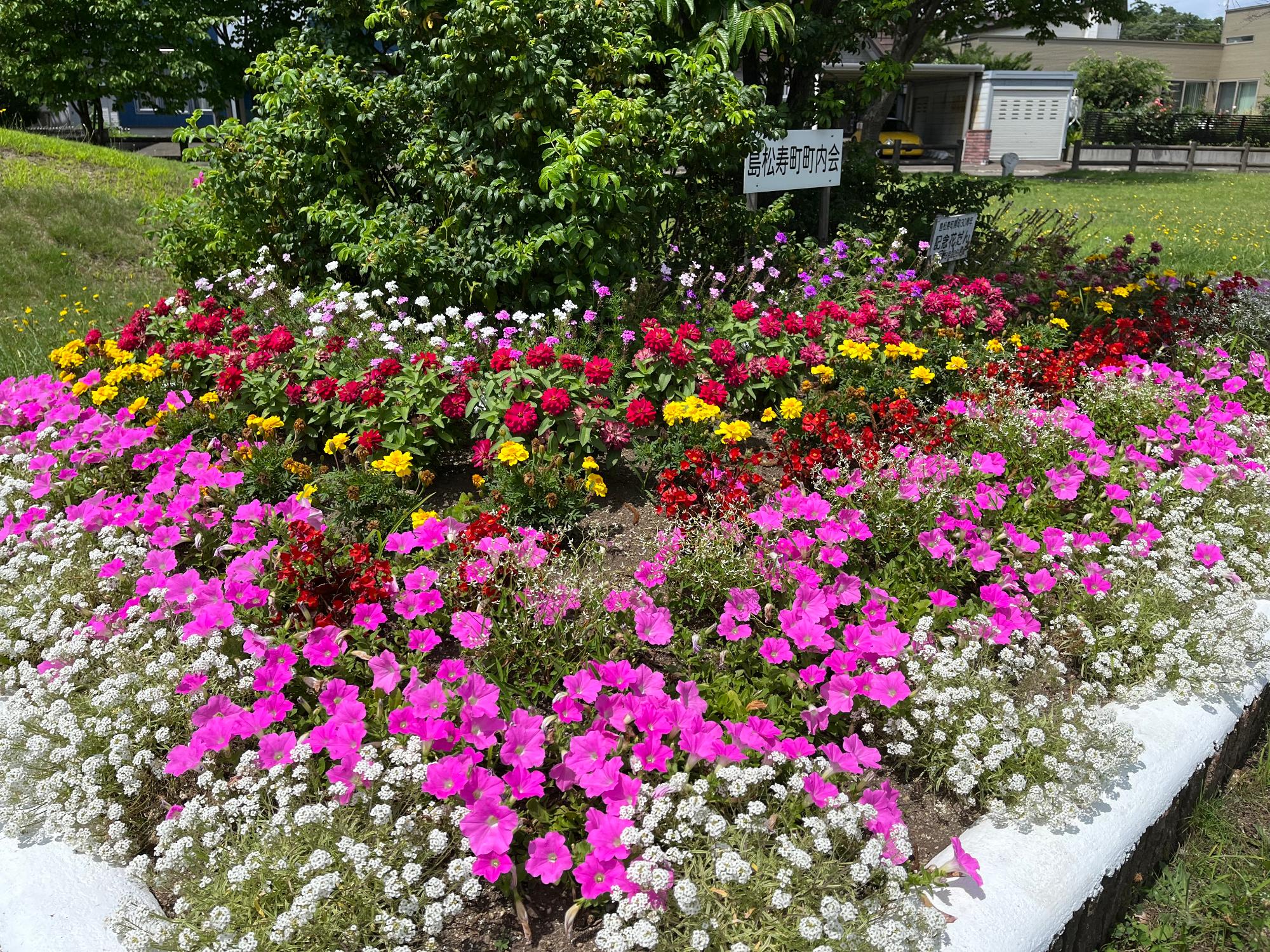 島松寿町町内会