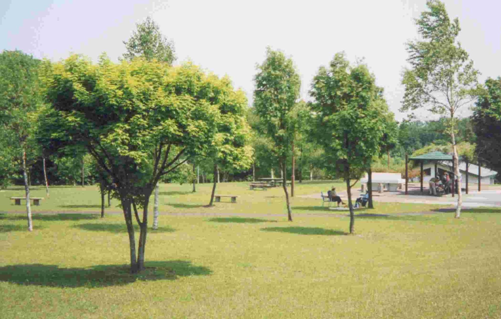 柏木地区レクリエーション施設キャンプ場の風景写真