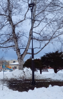 令和7年度_照明灯柱更新工事実施