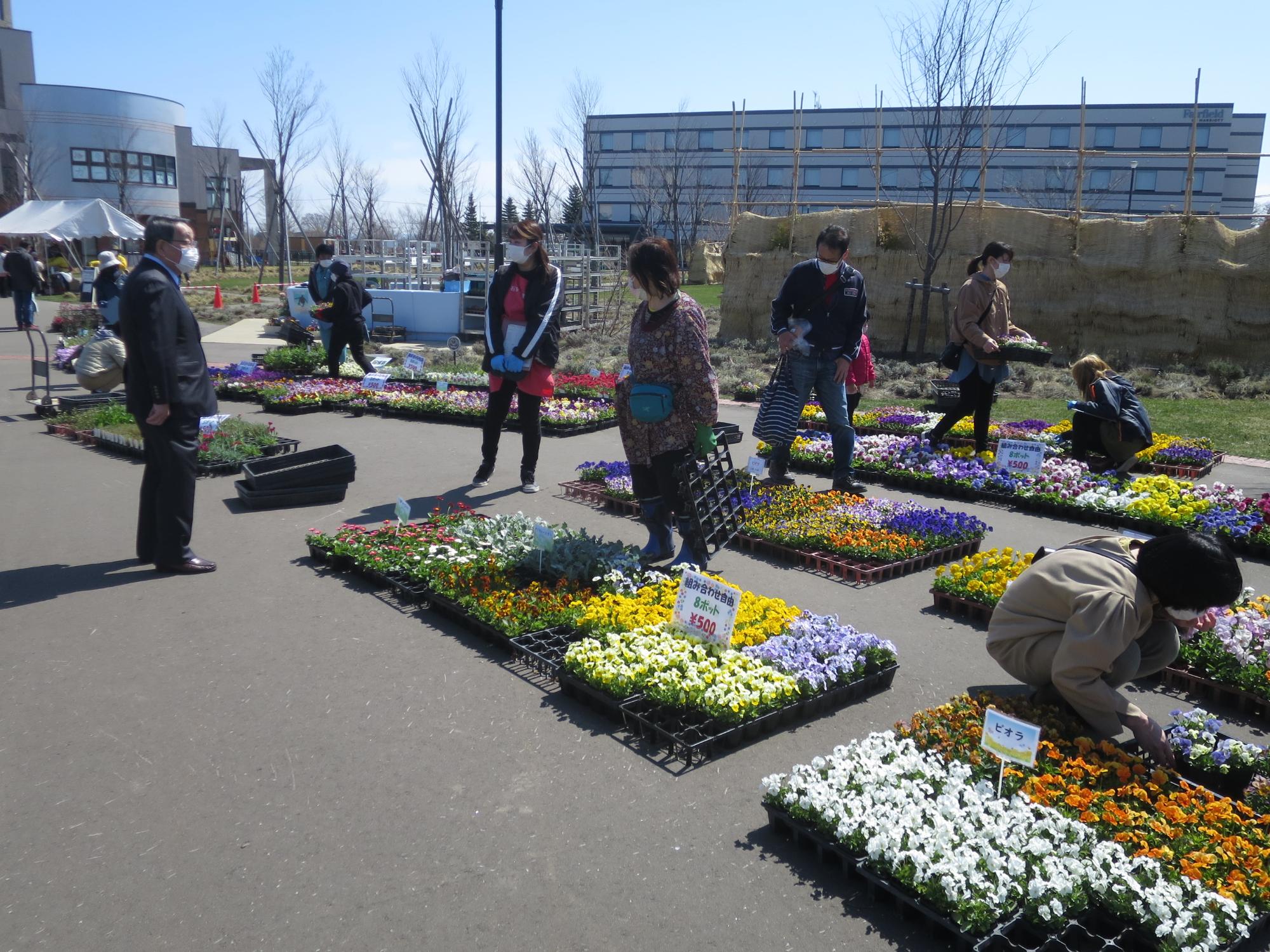 花いっぱい文化協会の春の花パンジーの斡旋販売に足を運ぶ原田市長