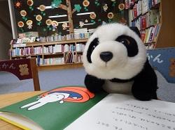 図書館にお泊りしたパンダのぬいぐるみがミッフィーの絵本を広げて熱心に読んでいる写真