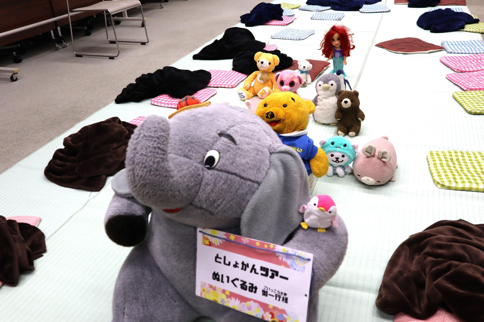 ぬいぐるみおとまり会としょかんツアーの始まり