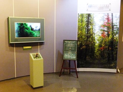 展示室に設置されている画像検索システムの写真