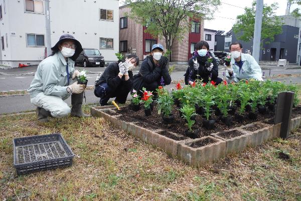 花壇の花植え