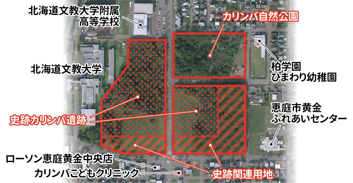 撮影範囲