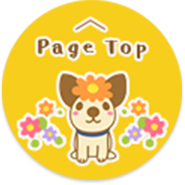 Page Top