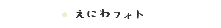 えにわフォト